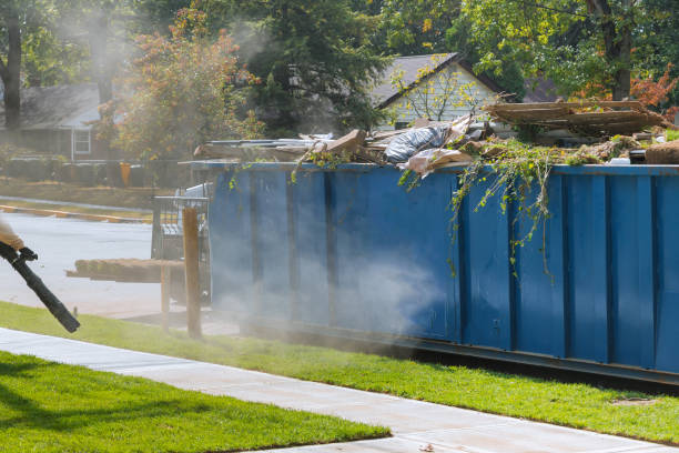 Best Yard Waste Removal  in Davison, MI