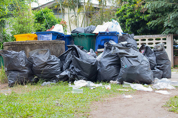 Trash Removal Near Me in Davison, MI